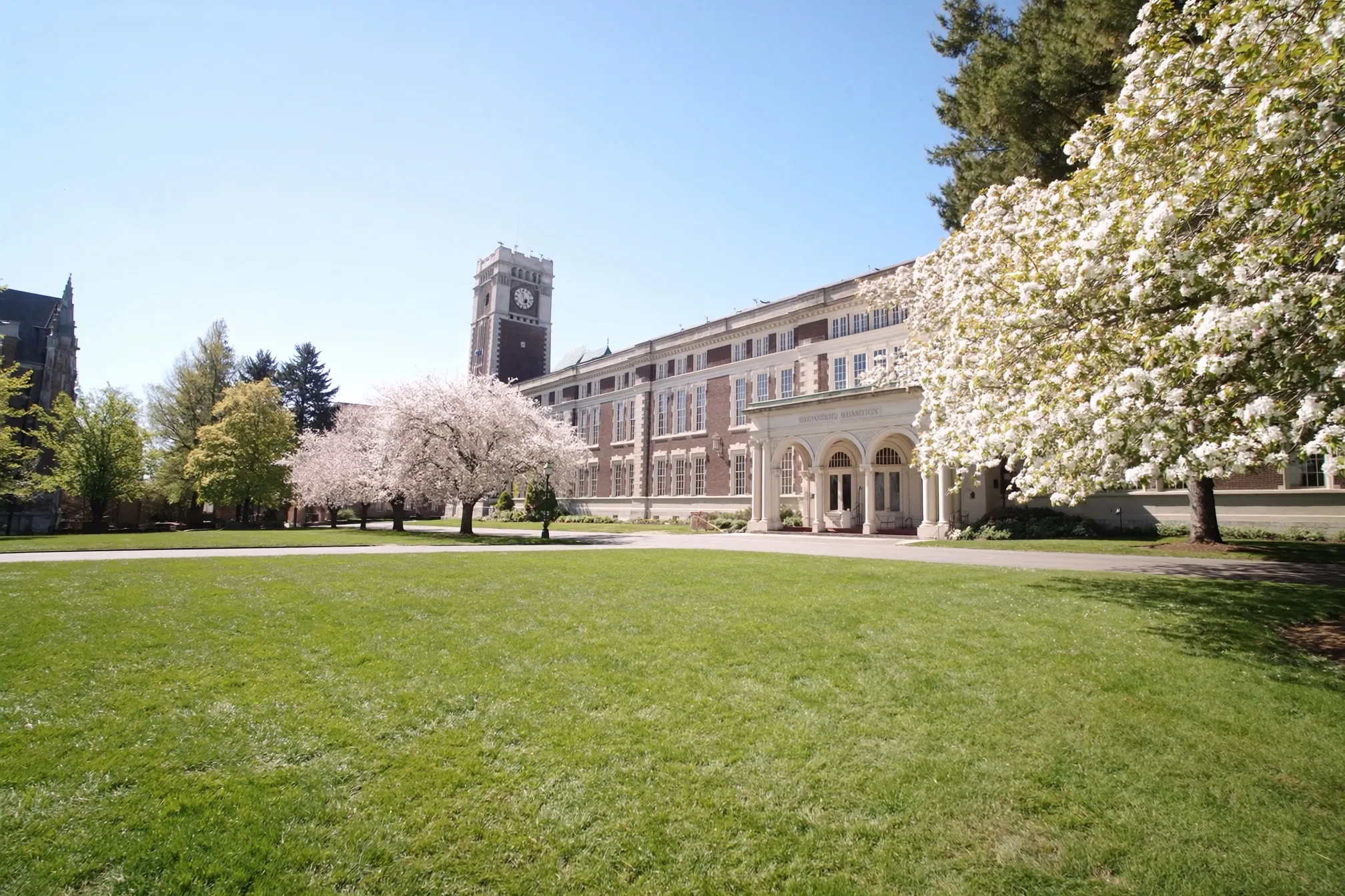 A sunlit university quadrangle with a historic academic building, green lawn and blossoming trees under a clear blue sky